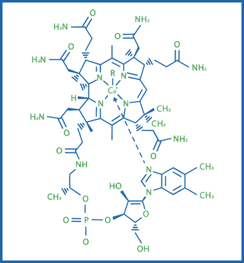 1b931f54-316a-41ee-aff0-1678946d983b.jpg Illustration